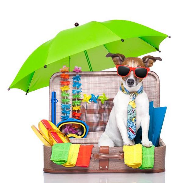 Where do you like to go on #SummerVacation? Share some of your favorite vacation spots with us.
