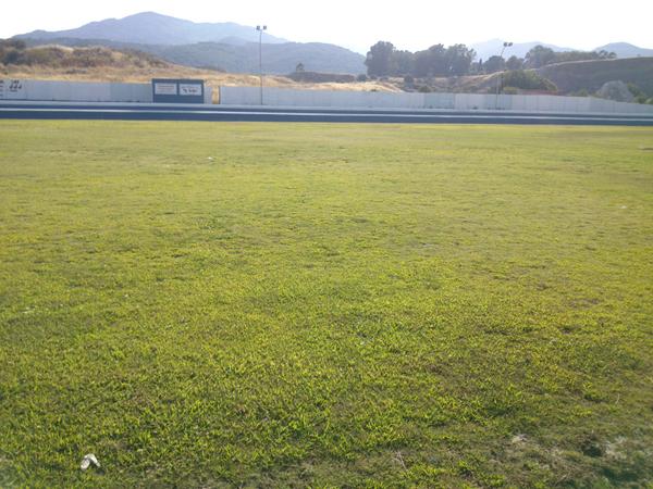 Asi lucia hoy el verde de Pastores