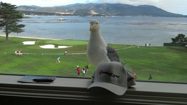 Dead Aim Putters tweet media