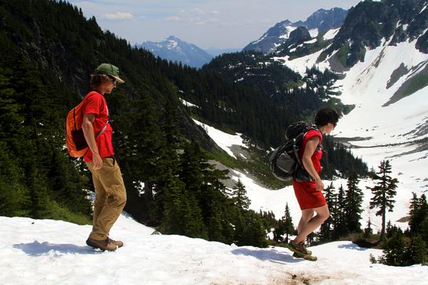 NCascadesNPS's tweet photo. #BioBlitz14 kicks off at @NCascadesNPS: http://t.co/kP4WV1cXin http://t.co/znghtUJisJ