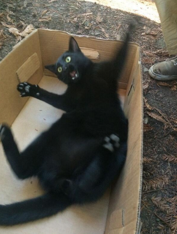StumblerTop's tweet photo. that feeling when you wake up from falling in a dream http://t.co/q83Xd4MEE2