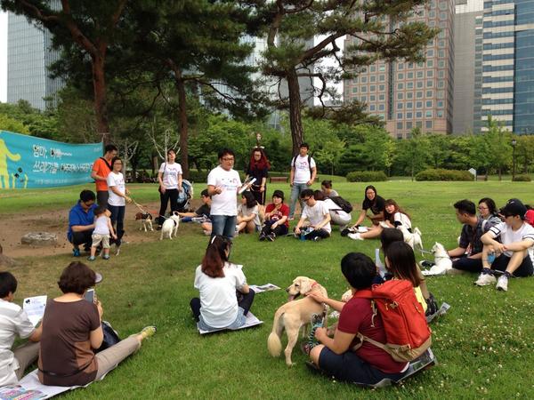 animalkorea's tweet image. '우리도 공원길을 걸어보고 싶어요' 입양행사가 열리고 있는 여의도공원입니다! 입양에 대한 간단한 설명 후 동물자유연대 보호동물들과 참가자분들이 함께 걷는 아주 특별한 산책이 시작됩니다^_^
