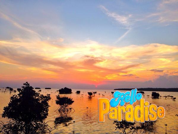 Sunset di Trekking Mangrove, Karimunjawa - Jawa Tengah #WonderfulIndonesia <a href="/detikTravel/">detikTravel</a> <a href="/indtravel/">Ind Travel</a> <a href="/TravellerKaskus/">TravellerKaskus.com</a>