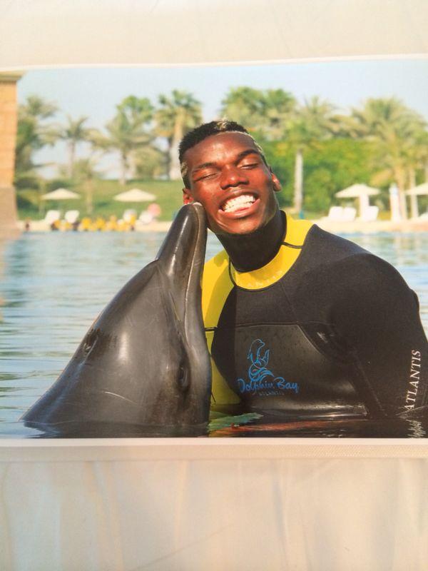 PAUL POGBA, UN HAVRAIS A TURIN - Page 5 Bs5XwilIgAAI2pN