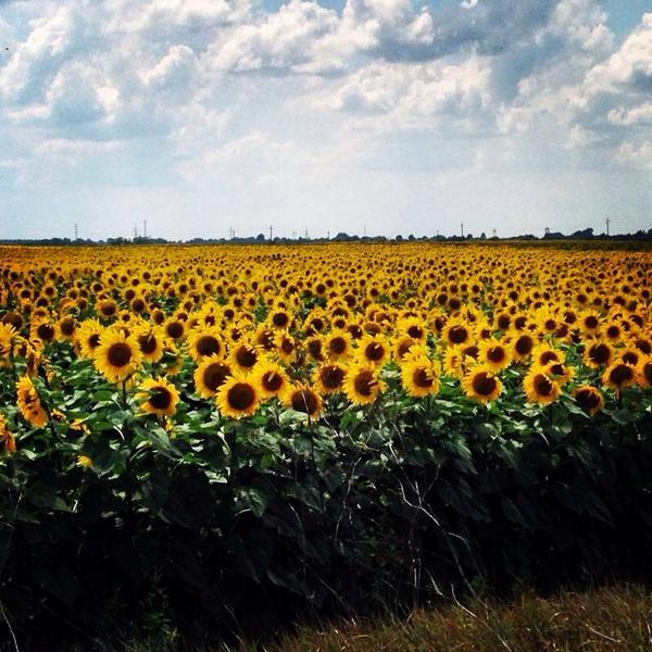 ccengineering's tweet image. CCE è un&apos;azienda Certificata per la Sostenibilità Ambientale e offre ai propri Clienti olio tracciato e sostenibile.