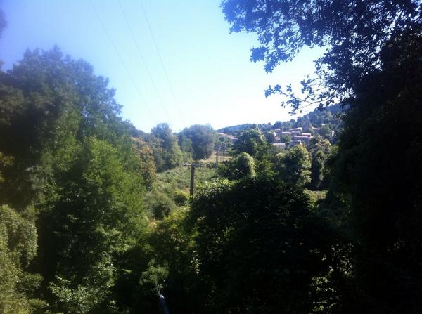 Atelier Reeb tweet media