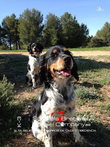 DogCollarsK3's tweet photo. Sus sonrisas nos enamoran.. http://t.co/SfOtHjWz9V