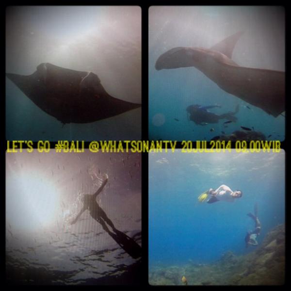 🙌 <a href="/fishGOD/">Pecos Tafeltennis</a> <a href="/paulbatuna/">Paul Batuna</a> 20JUL2014 09.00WIB <a href="/whatsonANTV/">ANTV</a> cc. <a href="/slankdotcom/">Slank Band</a> <a href="/smartfrenworld/">SMARTFREN</a> <a href="/cosmicclothes/">Cosmic Clothing</a> <a href="/azurbali/">Azurbali Dry Bags</a>