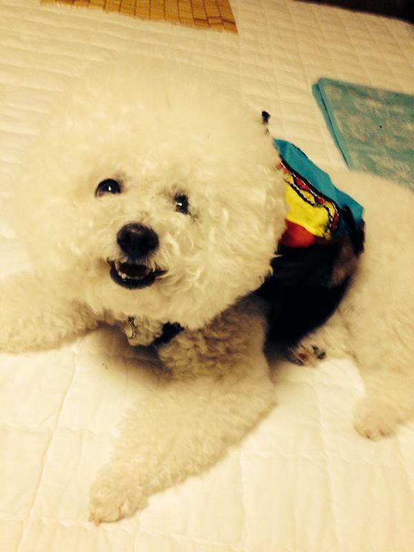 이준혁 tweet media