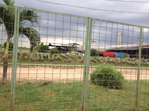 kerja keras buat masa depan