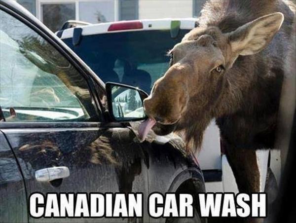 MeanwhileinCana's tweet photo. Saturday. Time to get the car washed.
#MeanwhileinCanada http://t.co/FuLY5evdWf