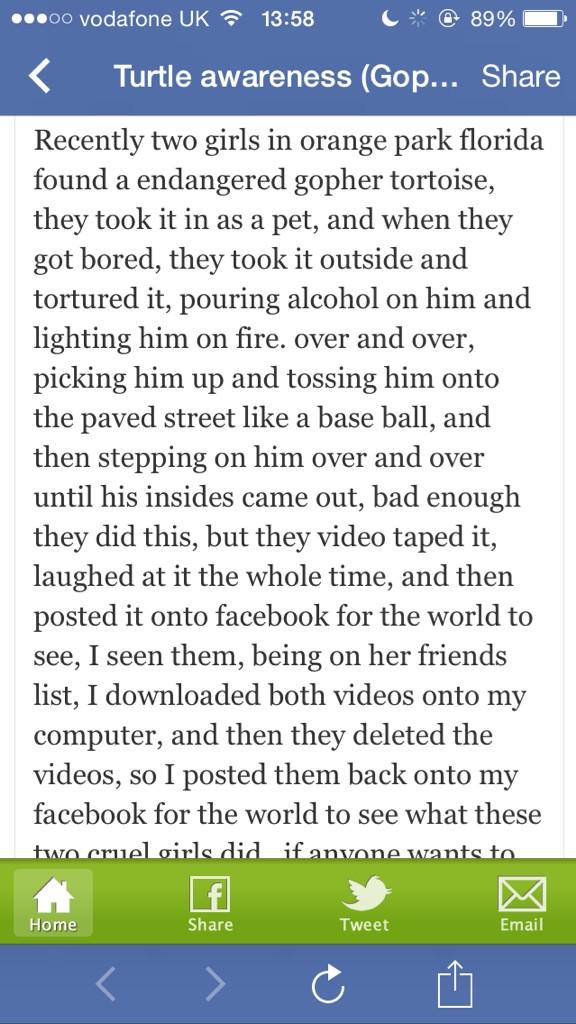 EmmaGeorge_x's tweet image. That is absolute shocking, honestly don't know how they could do that too a little turtle😰 #TurtleAwareness