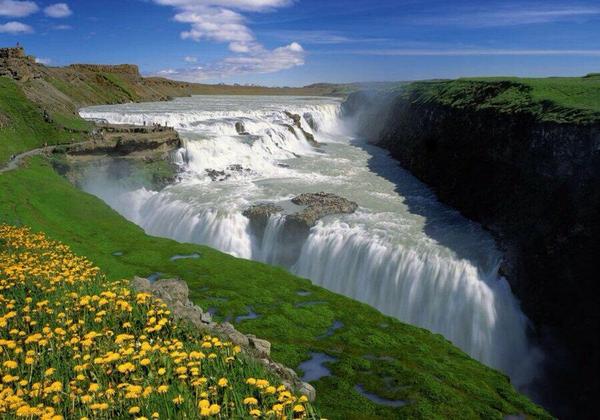 alimaleeali's tweet image. @meme1455 @SihemUk