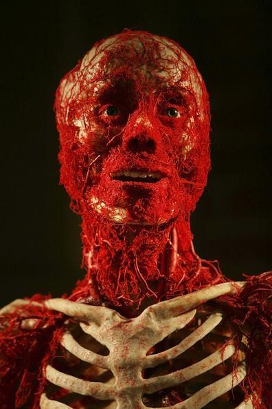 tucnetter's tweet photo. นิทรรศการ ร่างกายมนุษย์ BODY WORLDS ณ กรุงลอนดอนประเทศ อังกฤษ ที่นำเอาศพคนจริงๆ มาผ่าให้ดู http://t.co/4FkGSuRf0j