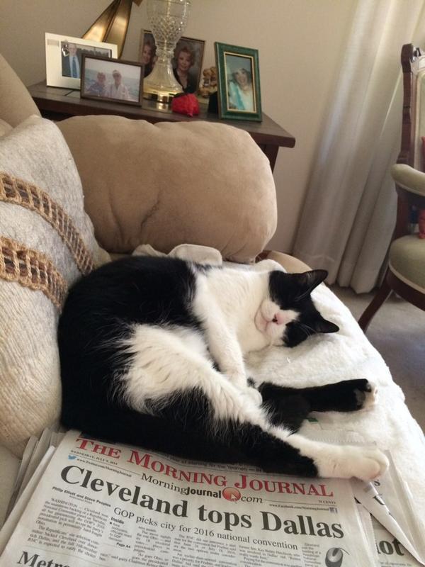 dansails's tweet image. How to relax💤