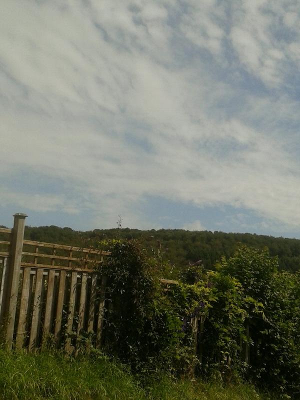 So sad to be going home after such a wonderful break in Devon: back to work Monday!