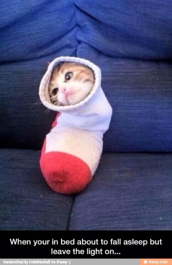 this gave me life