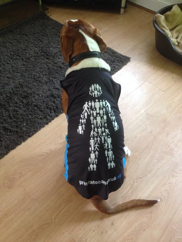gem_bob92's tweet photo. Trig will be ready for this prostate cancer walk :) xx http://t.co/JGkof7IS2Z