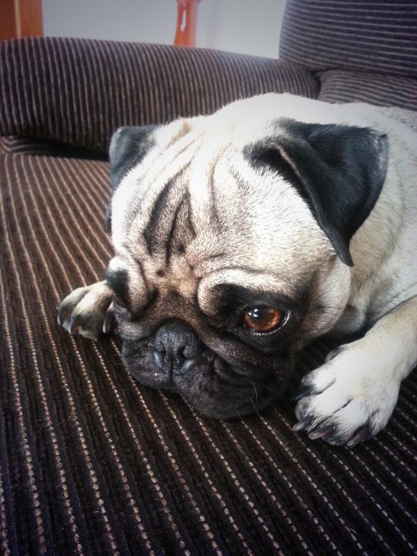 isatorbue's tweet photo. Decir que tengo la suerte de tenerla, es quedarse muy corta. #lovely http://t.co/neAXXKD7Or