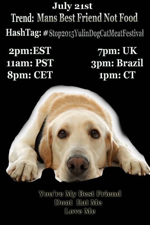 lillybalderas's tweet image. #AnimalLovers TREND ALERT to #Stop2015YuLinDogMeatFestival 7/21st Let&apos;s reach the media so  #yulingetdogsoffthemenu