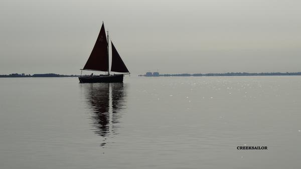 #Cornishshrimper glimpse the magic of small boat sailing on #RiverBlackwater