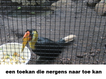 Kakhiel's tweet photo. haha @Koningsbruggen http://t.co/4Idz6NJkb9