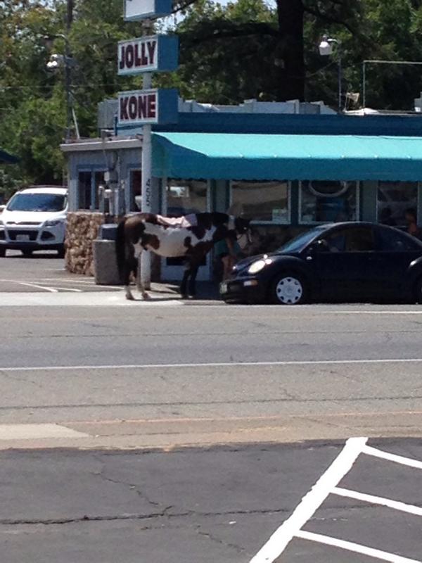 CoachMartinez56's tweet image. Only in Red Bluff! #countryproblems