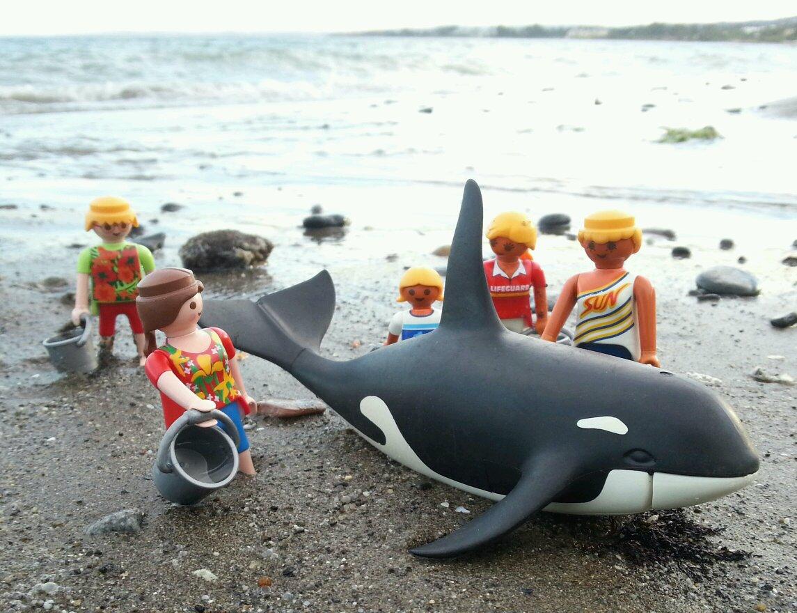 playmobil orca whale