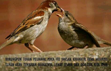 JChrist_Tweet's tweet photo. True! http://t.co/IpRig8tJv5