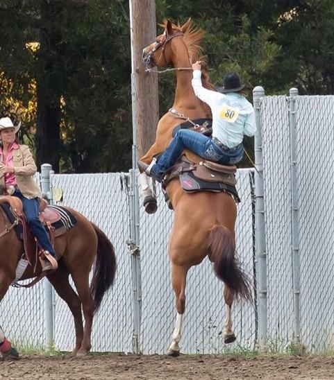 Well not stoked about yesterdays entry,  today was much better! Lol @RodeoChat #salinasrodeo #rearinghorse