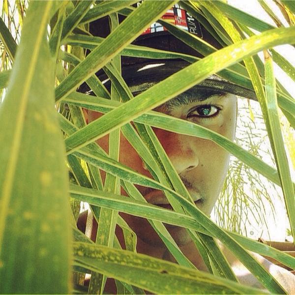 Skepta tweet picture