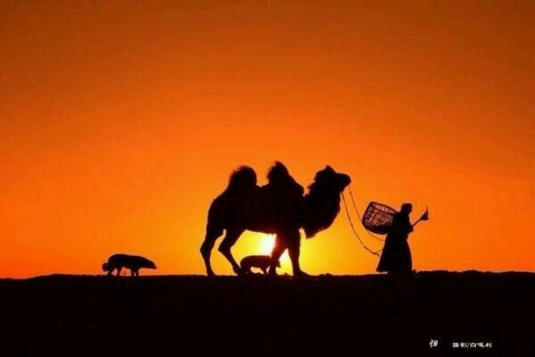 Өглөөний мэнд эх орон минь.