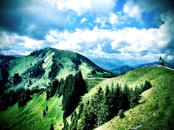 Maiara Walsh tweet media