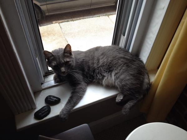 BoheySquints's tweet image. So what's everyone up to this lovely Saturday? Me, I'm straight chillin homey