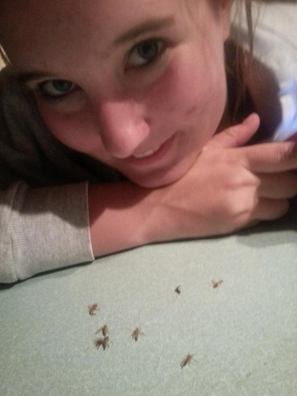 @abbystelly25 is disgusting.. #bugcollection