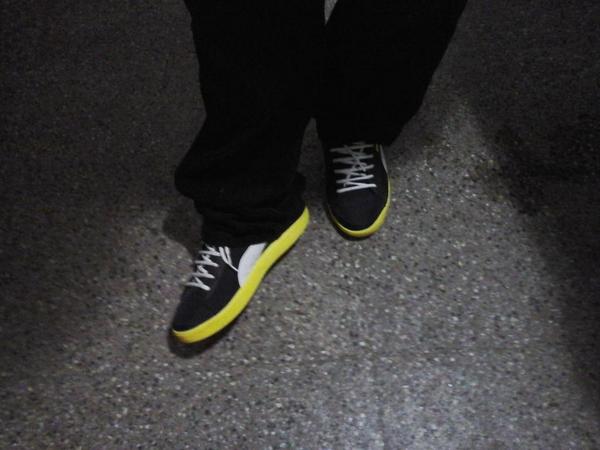 BasircNico tweet picture