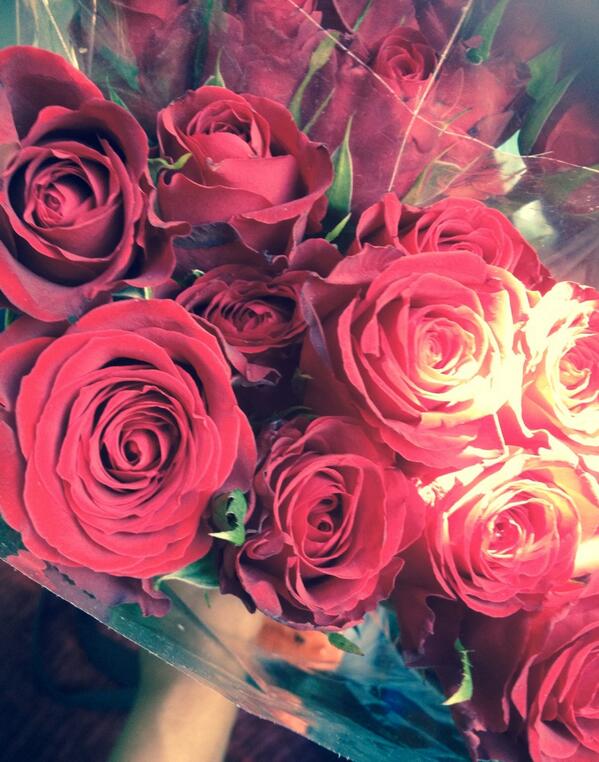 FFNottingham's tweet image. We've got the roses, it can only mean one thing #OurFrontRoom @befestival #Archie&amp;amp;Violet