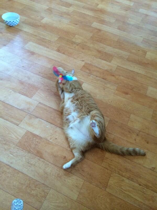 appetite_'s tweet image. 뛰어, 뛰어, 뛰란말이다...!! #FAIL_