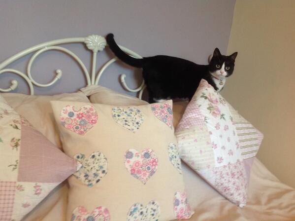 New cushions!!