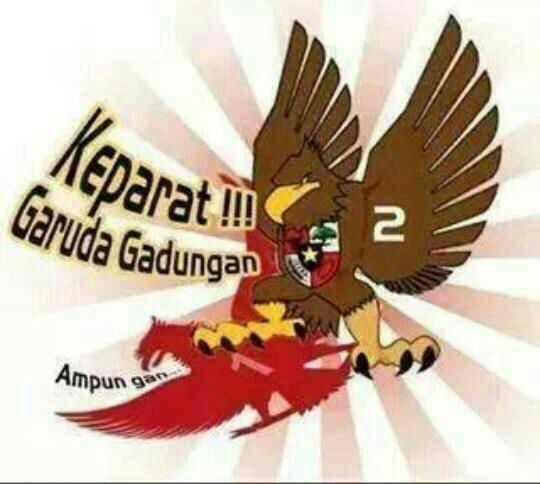 Unduh 55 Gambar Garuda Vs Banteng Terbaik Gratis HD