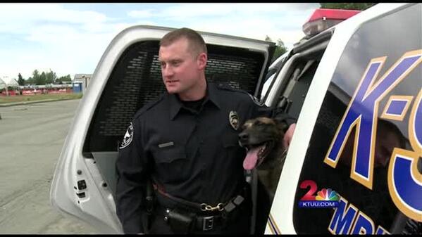 APD K-9 MP, stabbed in a Saturday chase, is on a diet of comfort food as he recuperates: bit.ly/1maVvij #ktuu