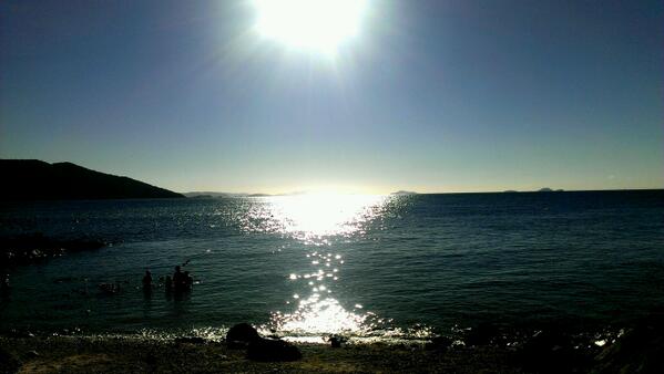 RacheleKCumming's tweet photo. That's my kids + Brady snorkeling at Lovers Cove http://t.co/Nn8iOeRtIy