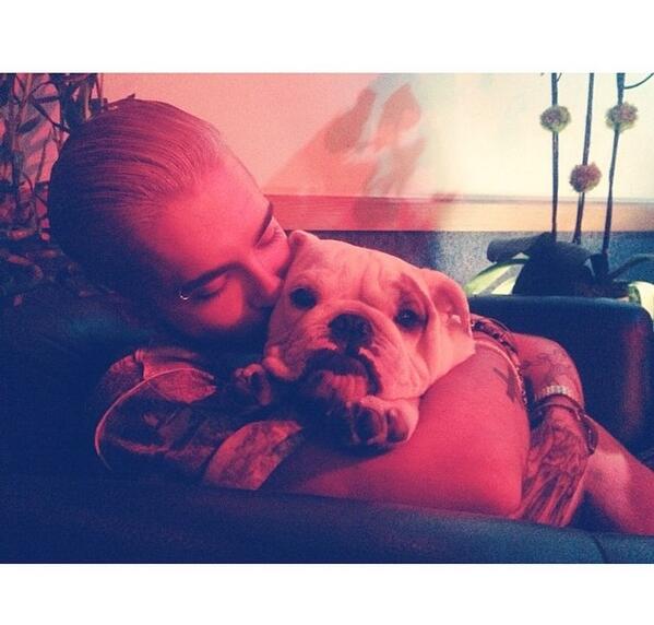 New Instagram post from Bill: studio night #pumba #studio #mixing #longnights #babybulldog 💗 #aliens #tokiohotel 💋