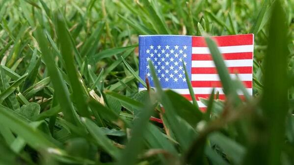 4thJulyLimerick tweet media