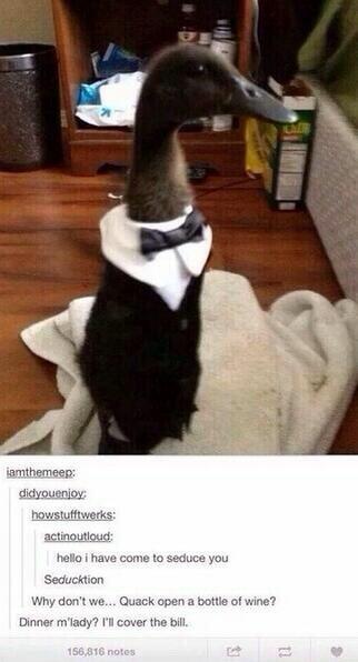 caitsnothere's tweet image. 