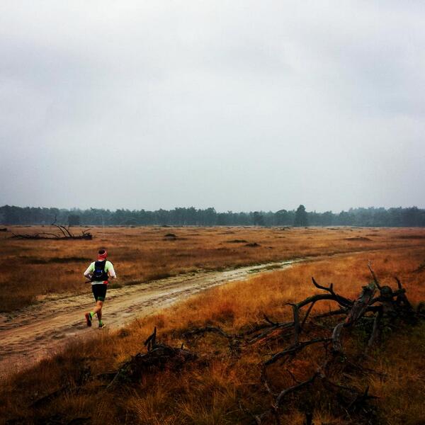 MudSweatTrails tweet media