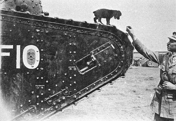 LoveArchaeology's tweet image. "@TimelineWW1: @TLCivilWar check out this little guy. (image @TankMuseum) #tankdog #animalsofwar http://t.co/VeiekGeMd7" @KatrinaNiccole