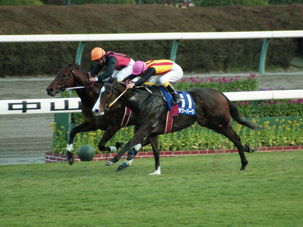 フラワーパーク スプリンターズS 記念馬券 歴史に残る1センチ 功労馬