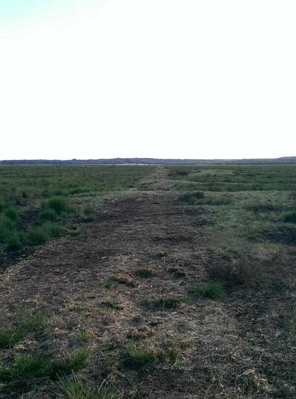 NP De Hoge Veluwe tweet media