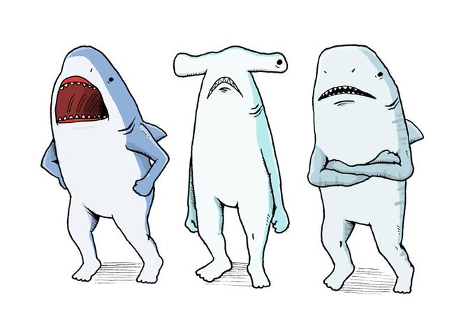 何これ怪獣 いえサメです コミカルな動きがかわいい サメーズ スタンプクリエイターズ ファイル Itmedia News